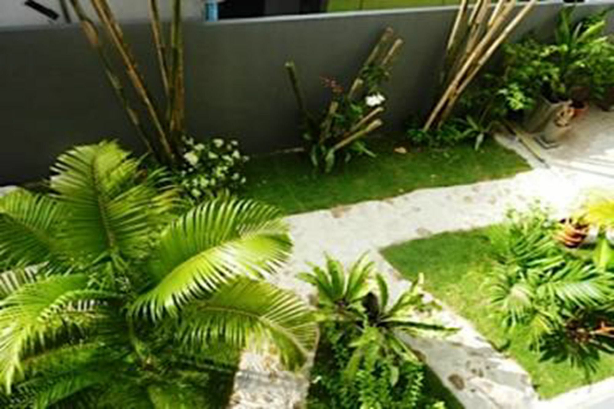 Sairee Sairee Guesthouse Ko Tao Luaran gambar